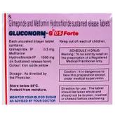 Gluconorm-G 0.5 Forte Tablet 10's, Pack of 10 TABLETS