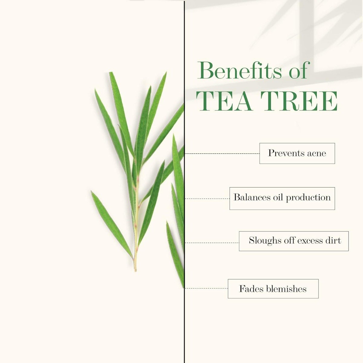 Good Vibes Tea Tree Gentle Cleansing Foaming Face Wash, 150 ml, Pack of 1 Good Vibes Tea Tree Gentle Cleansing Foaming Face Wash, 150 ml, Pack of 1