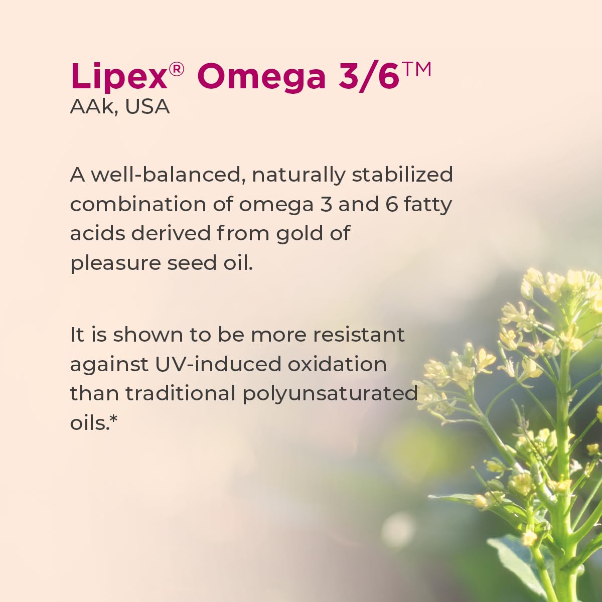 Healthyr-U Omega Skin Repair Serum, 30 ml, Pack of 1 Healthyr-U Omega Skin Repair Serum, 30 ml, Pack of 1