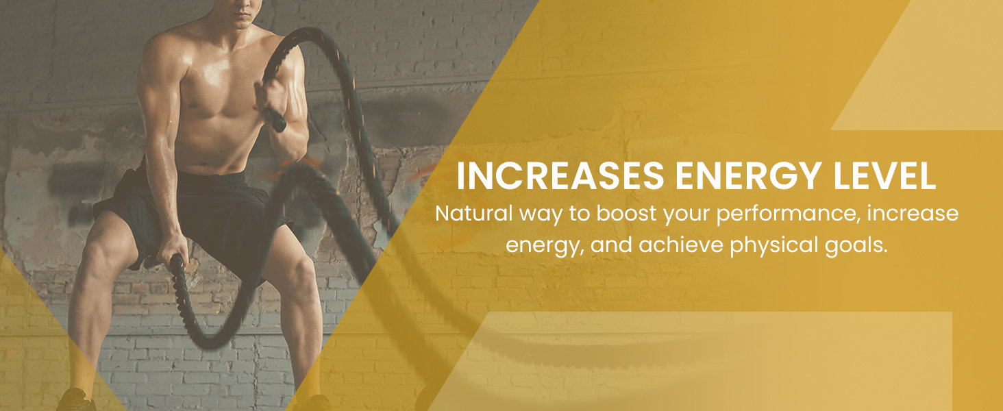 Upakarma Ayurveda Pure Shilajit Resin Form with Gold Dust, 20 gm, Pack of 1 Upakarma Ayurveda Pure Shilajit Resin Form with Gold Dust, 20 gm, Pack of 1