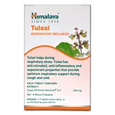Himalaya Wellness Pure Herbs Tulasi Respiratory Wellness, 60 Tablets, Pack of 1