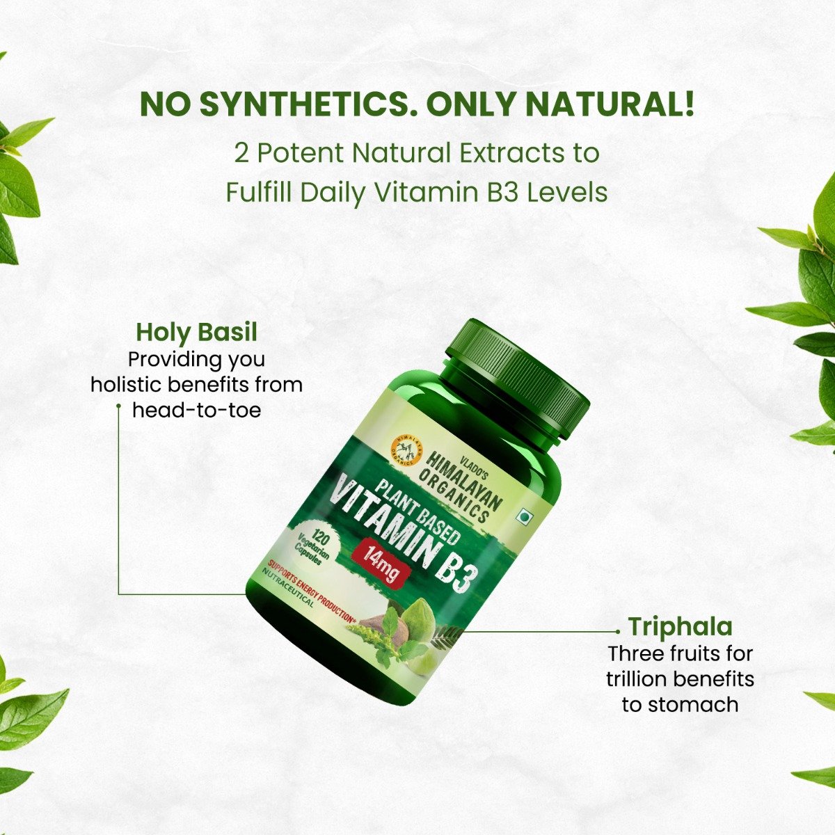 Vlado's Himalayan Organics Plant Based Vitamin B3 14mg, 120 Capsules, Pack of 1 Vlado's Himalayan Organics Plant Based Vitamin B3 14mg, 120 Capsules, Pack of 1