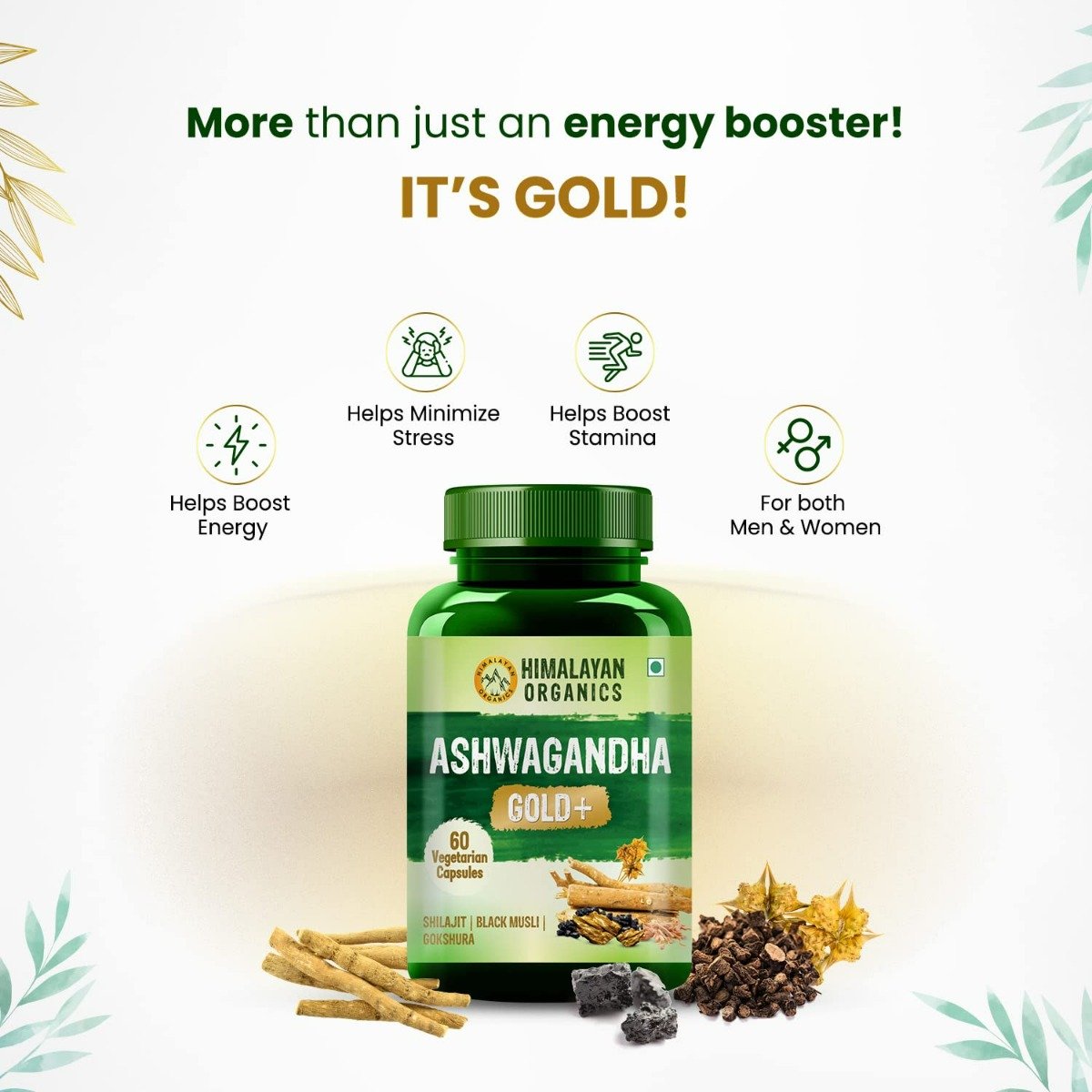 Vlado's Himalayan Organics Ashwagandha Gold Plus, 60 Capsules, Pack of 1 Vlado's Himalayan Organics Ashwagandha Gold Plus, 60 Capsules, Pack of 1