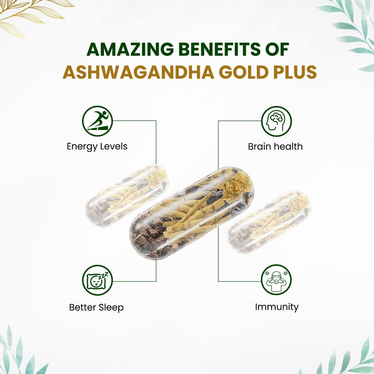 Vlado's Himalayan Organics Ashwagandha Gold Plus, 60 Capsules, Pack of 1 Vlado's Himalayan Organics Ashwagandha Gold Plus, 60 Capsules, Pack of 1
