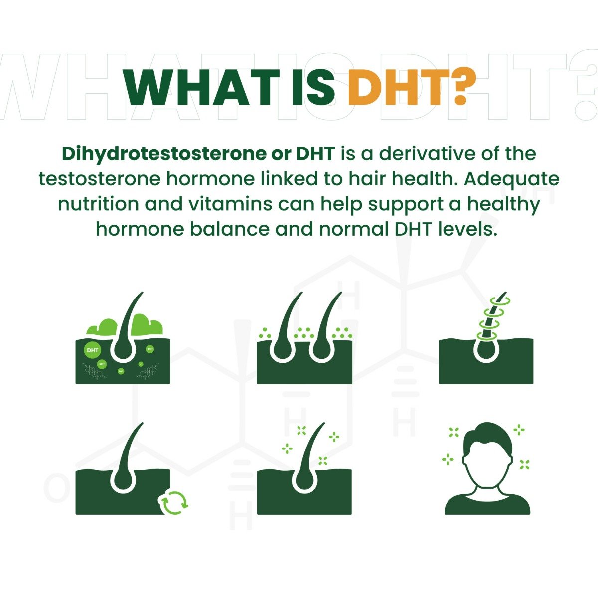 Vlado's Himalayan Organics Plant Based DHT Blocker, 60 Capsules, Pack of 1 Vlado's Himalayan Organics Plant Based DHT Blocker, 60 Capsules, Pack of 1