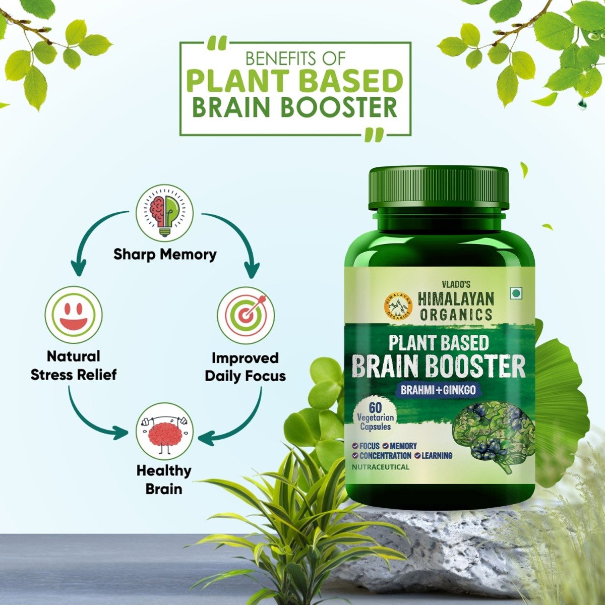 Vlado's Himalayan Organics Plant Based Brain Booster, 60 Capsules, Pack of 1 Vlado's Himalayan Organics Plant Based Brain Booster, 60 Capsules, Pack of 1