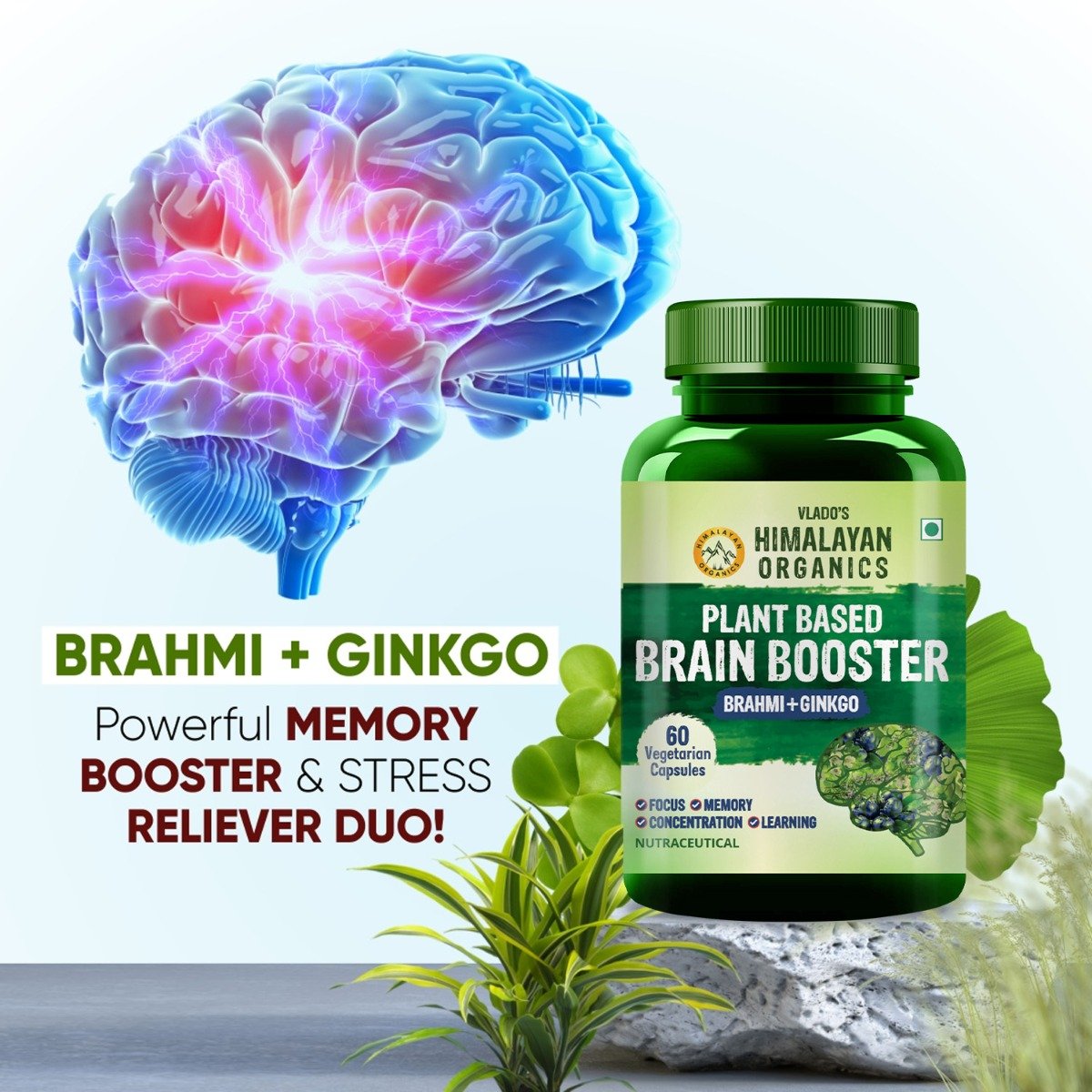 Vlado's Himalayan Organics Plant Based Brain Booster, 60 Capsules, Pack of 1 Vlado's Himalayan Organics Plant Based Brain Booster, 60 Capsules, Pack of 1