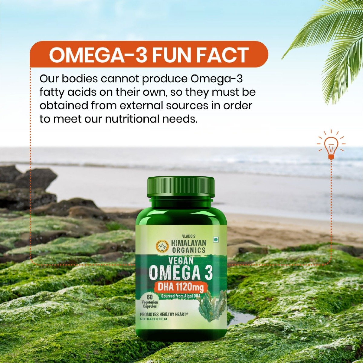 Vlado's Himalayan Organics Vegan Omega 3 DHA 1120mg, 60 Veg Capsules, Pack of 1 Vlado's Himalayan Organics Vegan Omega 3 DHA 1120mg, 60 Veg Capsules, Pack of 1