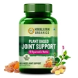 Himalayan Organics Plant Based Joint Support with 10 Ayurvedic Herbs, 60 Capsules