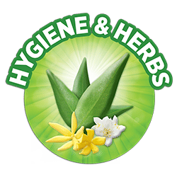 Sofy Anti Bacteria Sanitary Pads Super XL+, 6 Count, Pack of 1 Sofy Anti Bacteria Sanitary Pads Super XL+, 6 Count, Pack of 1