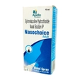 Apollo Pharmacy Nasochoice Adult Nasal Spray, 10 ml