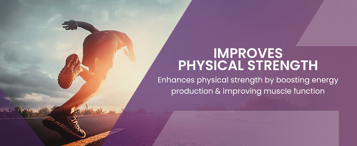 Upakarma Ayurveda Pure Shilajit Resin Form with Ashwagandha, 10 gm, Pack of 1 Upakarma Ayurveda Pure Shilajit Resin Form with Ashwagandha, 10 gm, Pack of 1