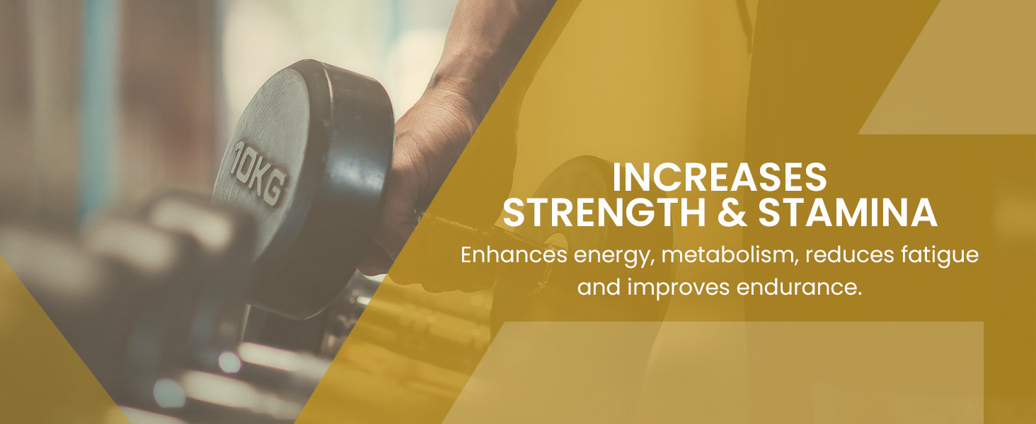 Upakarma Ayurveda Pure Shilajit Resin Form with Gold Dust, 20 gm, Pack of 1 Upakarma Ayurveda Pure Shilajit Resin Form with Gold Dust, 20 gm, Pack of 1