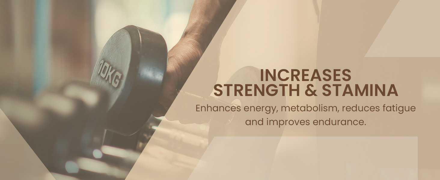 Upakarma Ayurveda Pure Shilajit Resin Form, 30 gm, Pack of 1 Upakarma Ayurveda Pure Shilajit Resin Form, 30 gm, Pack of 1