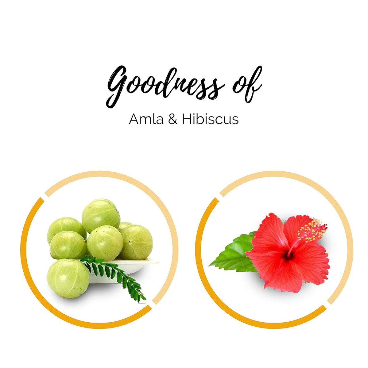 Indica Easy Hair Color Burgundy, 25 ml, Pack of 1 Indica Easy Hair Color Burgundy, 25 ml, Pack of 1