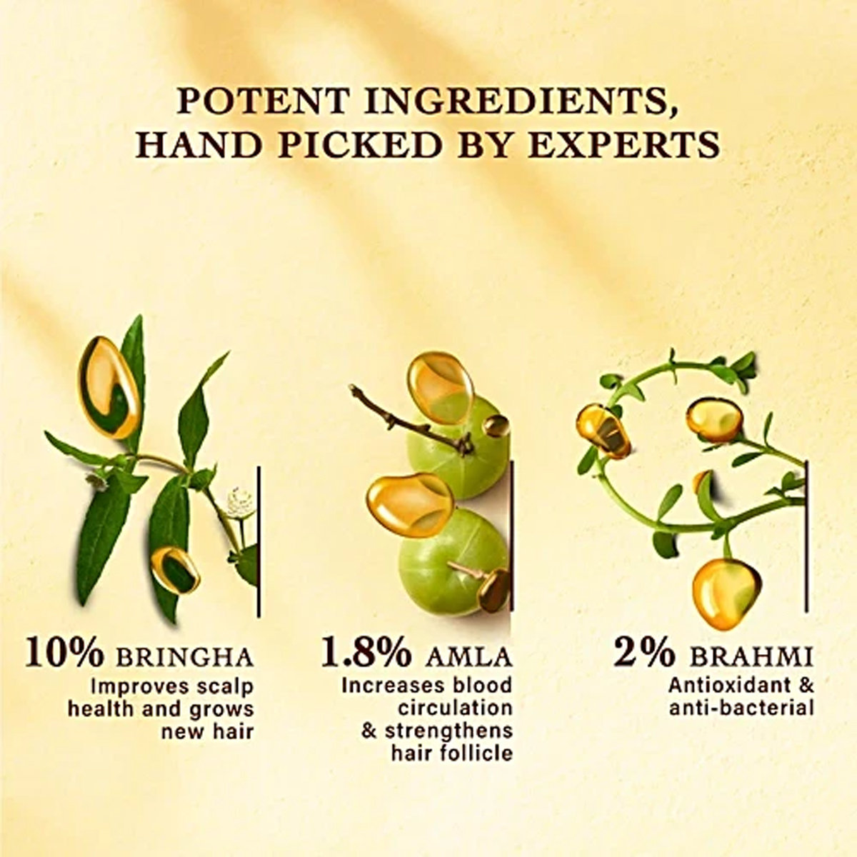 Indulekha Bringha Hair Fall Control Shampoo, 180 ml, Pack of 1 Indulekha Bringha Hair Fall Control Shampoo, 180 ml, Pack of 1