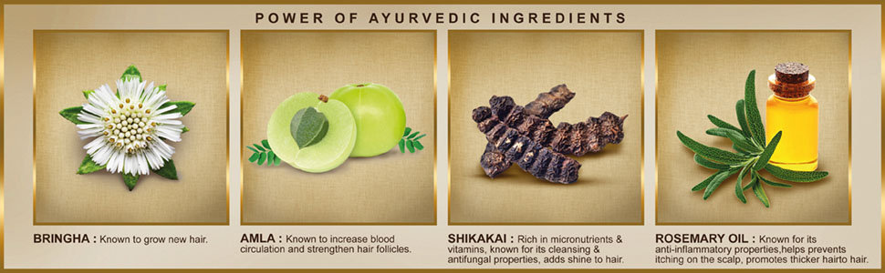 Indulekha Bringha Hair Cleanser, 100 ml, Pack of 1 Indulekha Bringha Hair Cleanser, 100 ml, Pack of 1