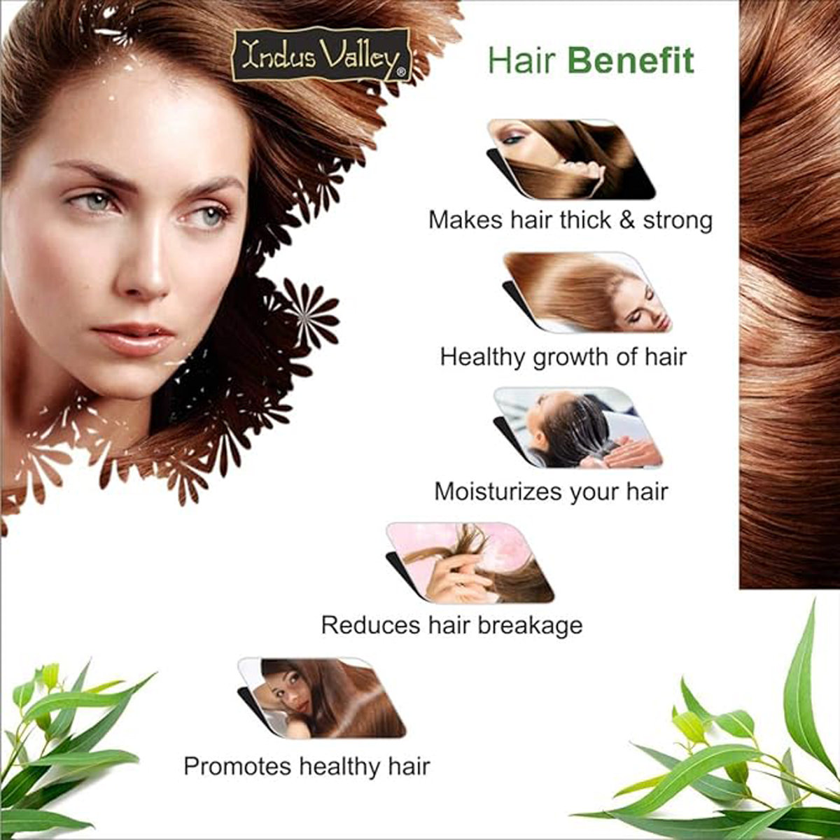 Indus Valley 100% Pure Eucalyptus Essential Oil, 15 ml, Pack of 1 Indus Valley 100% Pure Eucalyptus Essential Oil, 15 ml, Pack of 1