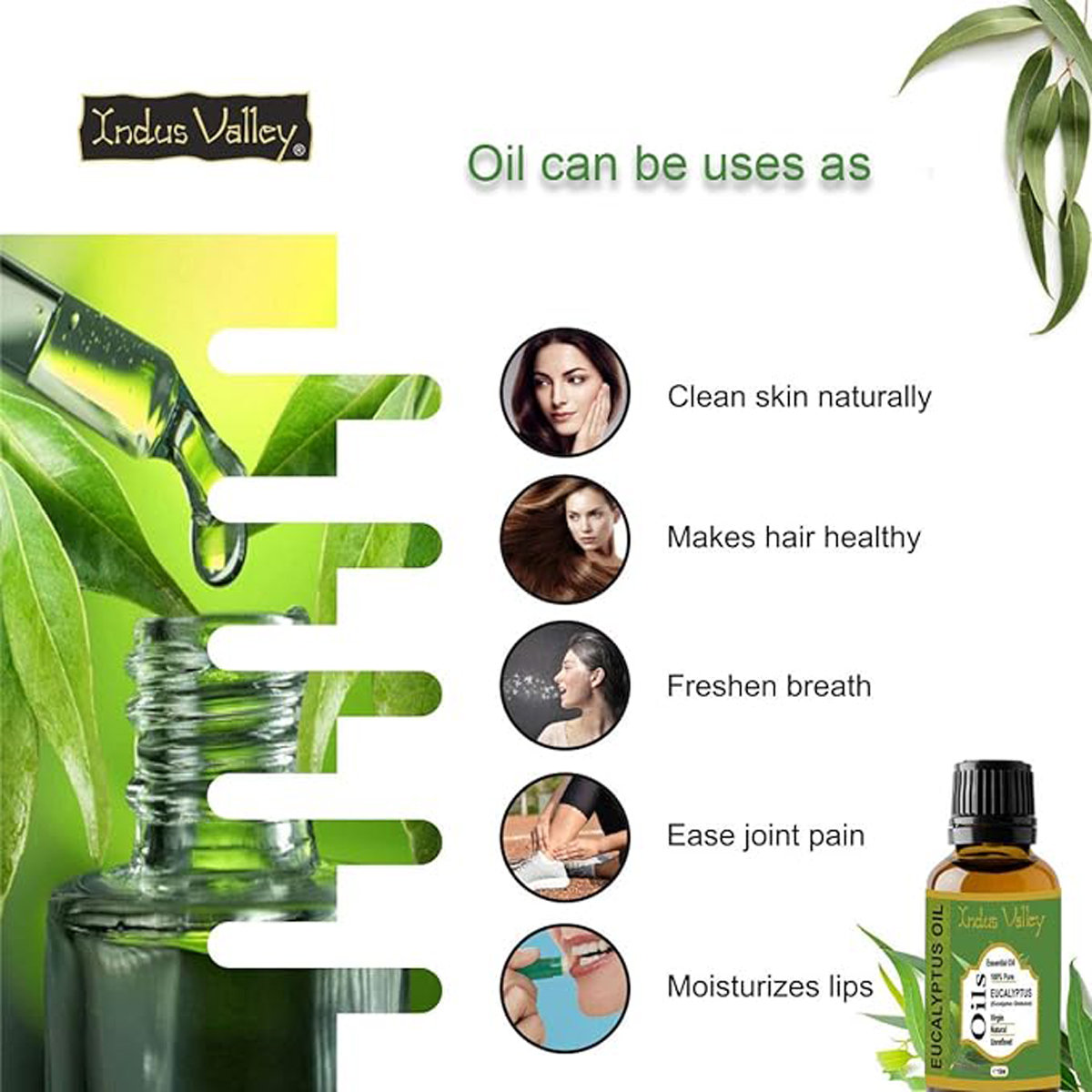 Indus Valley 100% Pure Eucalyptus Essential Oil, 15 ml, Pack of 1 Indus Valley 100% Pure Eucalyptus Essential Oil, 15 ml, Pack of 1