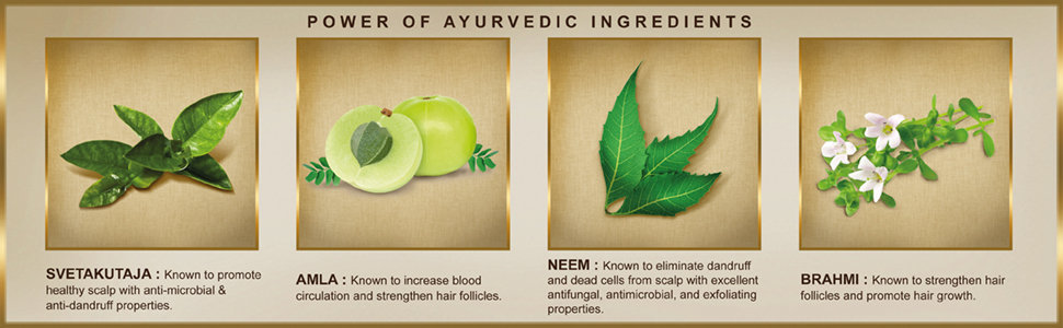 Indulekha Svetakutaja Oil for Dandruff Treatment, 100 ml, Pack of 1 Indulekha Svetakutaja Oil for Dandruff Treatment, 100 ml, Pack of 1