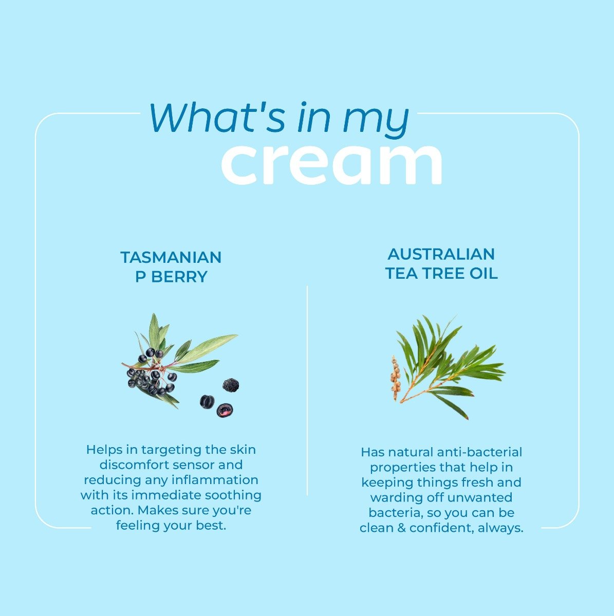 Arth Intimate Cream | Reduces Intimate Itchiness & Dryness | Maintains pH of 3.5-4.5 | 60 gm, Pack of 1 Arth Intimate Cream | Reduces Intimate Itchiness & Dryness | Maintains pH of 3.5-4.5 | 60 gm, Pack of 1