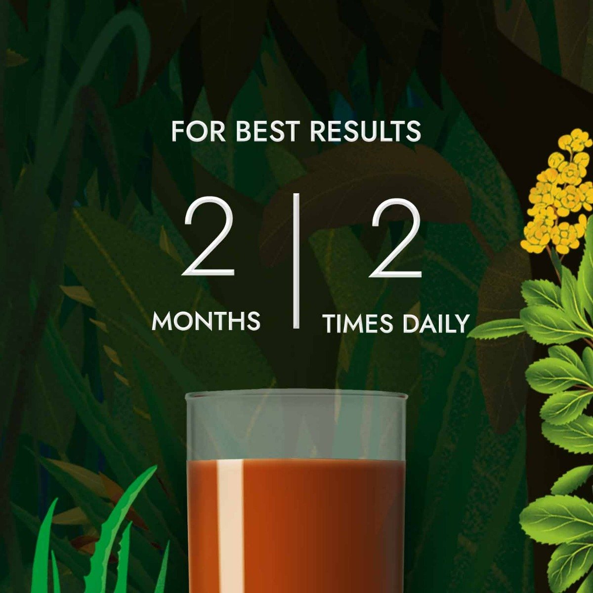 Kapiva Get Slim Juice, 1 Litre, Pack of 1 Kapiva Get Slim Juice, 1 Litre, Pack of 1