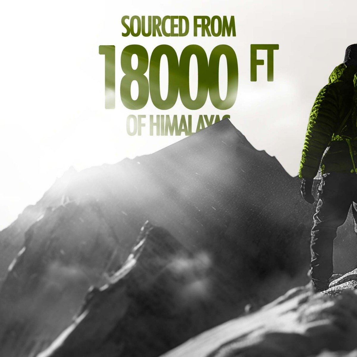 Kapiva Himalayan Shilajit, 20 gm, Pack of 1 Kapiva Himalayan Shilajit, 20 gm, Pack of 1