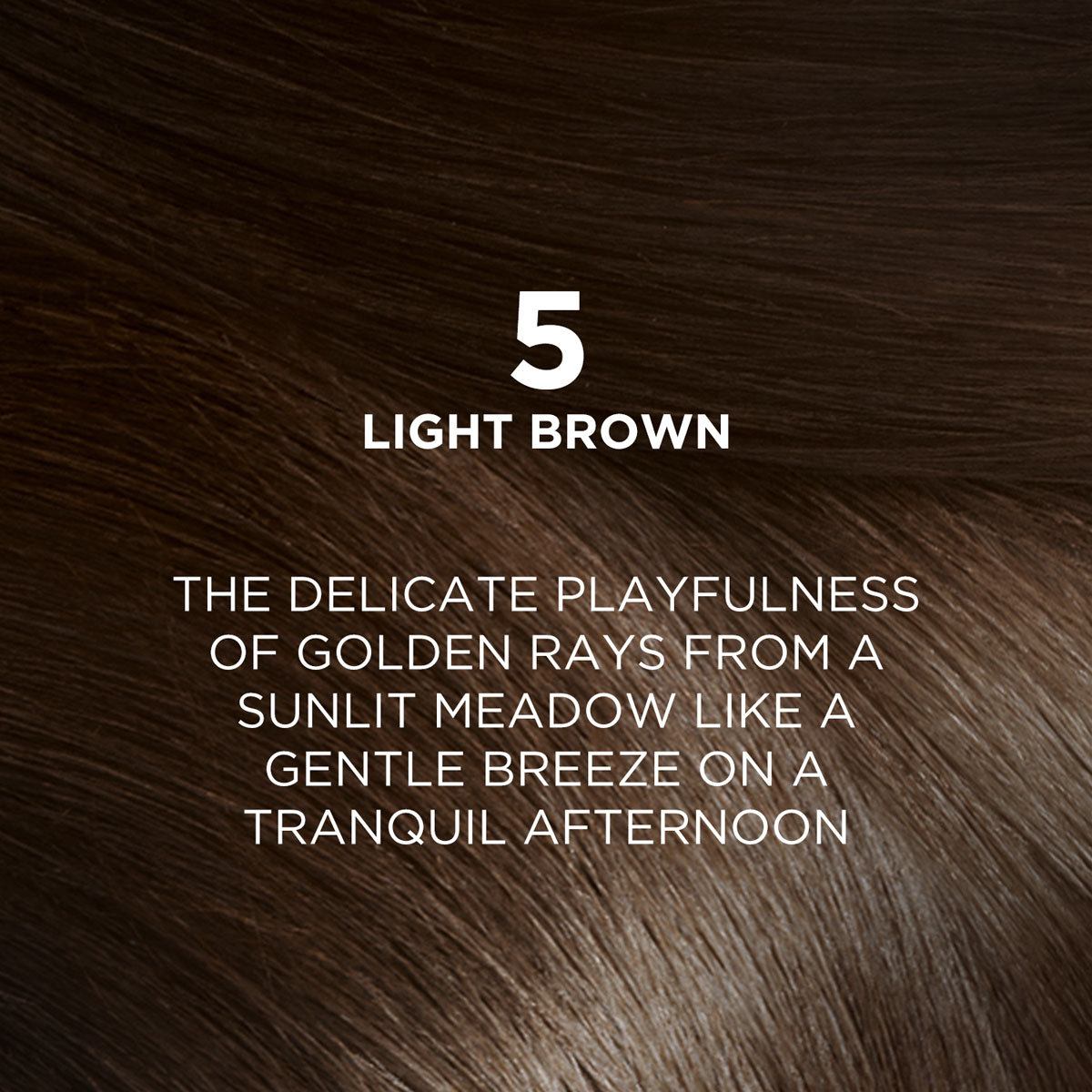 L'Oreal Paris Excellence Light Brown Creme Hair Color, 1 Kit, Pack of 1 L'Oreal Paris Excellence Light Brown Creme Hair Color, 1 Kit, Pack of 1