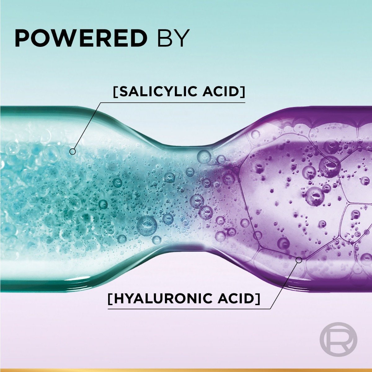 Loreal Paris Hyaluron Pure Shampoo, 200 ml, Pack of 1 Loreal Paris Hyaluron Pure Shampoo, 200 ml, Pack of 1