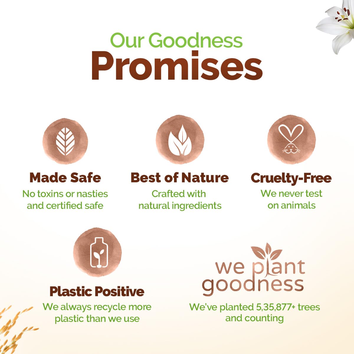 Mamaearth Rice Water Moisturizing Body Wash, 250 ml, Pack of 1 Mamaearth Rice Water Moisturizing Body Wash, 250 ml, Pack of 1