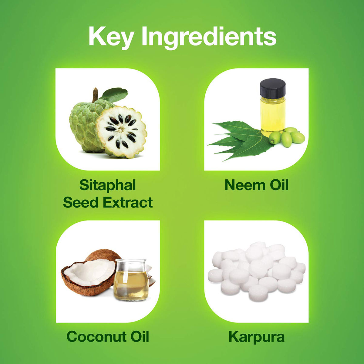 Mediker AntiLice Treatment Shampoo, 50 ml Price, Uses, Side Effects