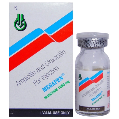 Megapen 1 gm Injection 1's, Pack of 1 Injection