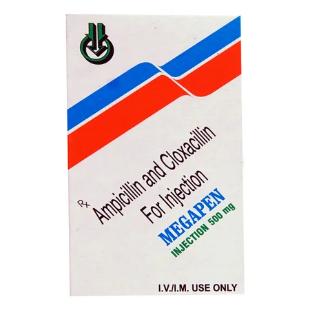 Megapen 500 mg Injection 1's