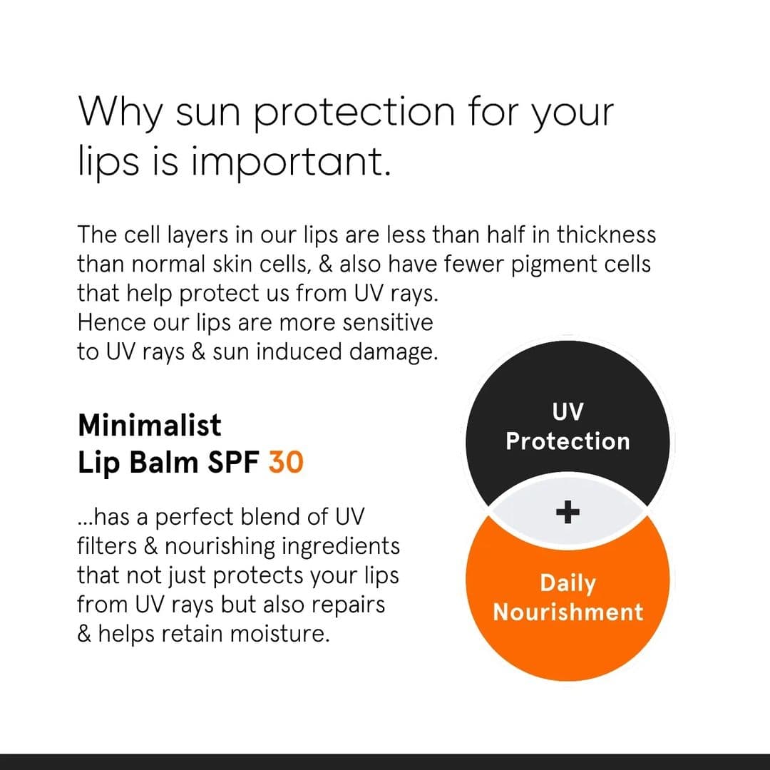Minimalist SPF 30 Lip Balm 8 gm| Protects and Nourishes Lips, Pack of 1 Minimalist SPF 30 Lip Balm 8 gm| Protects and Nourishes Lips, Pack of 1