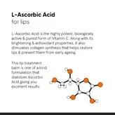 Minimalist 08% L-Ascorbic Acid Lip Treatment Balm | Treats and Nourishes Dark Lips | 12 gm, Pack of 1