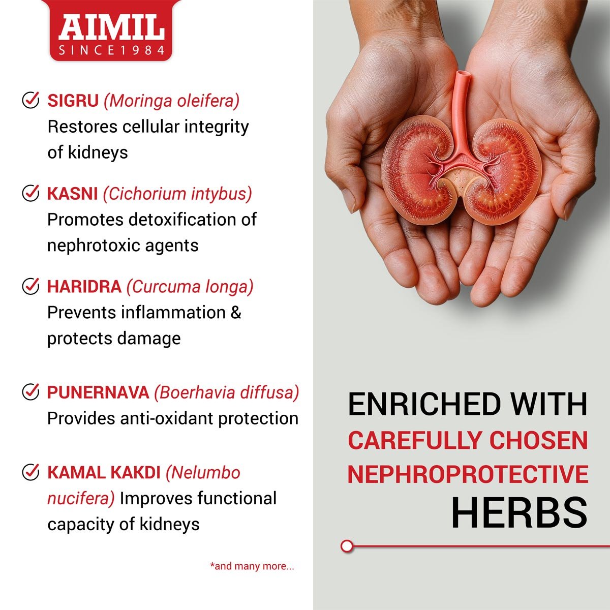 Aimil Neeri KFT Syrup 200 ml, Pack of 1 Aimil Neeri KFT Syrup 200 ml, Pack of 1