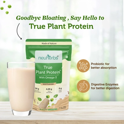 Neuherbs True Plant Protein Kulfi Flavour Powder with Omega 3, 500 gm, Pack of 1