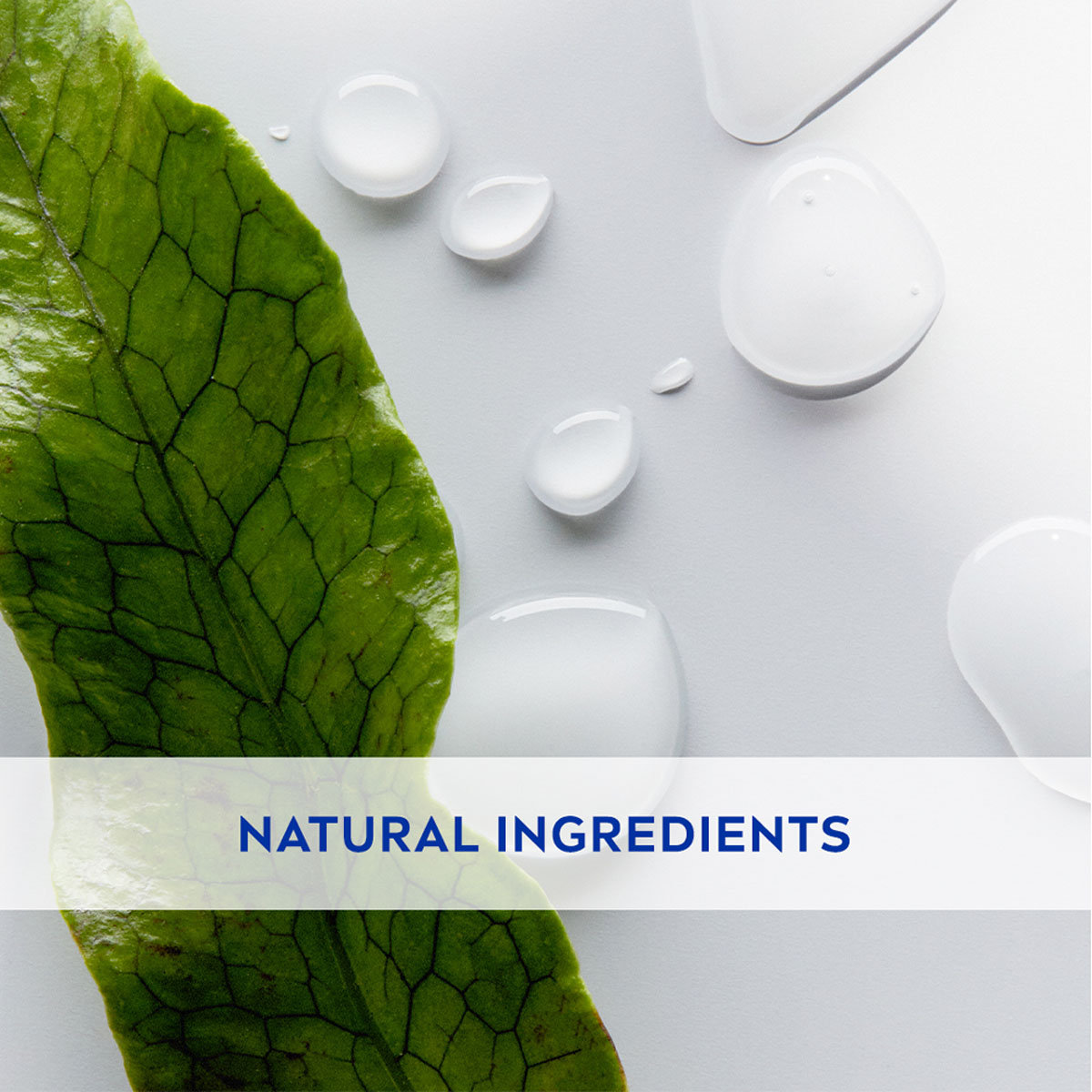 Nivea Original Care Caring Lip Balm, 4.8 gm, Pack of 1 Nivea Original Care Caring Lip Balm, 4.8 gm, Pack of 1