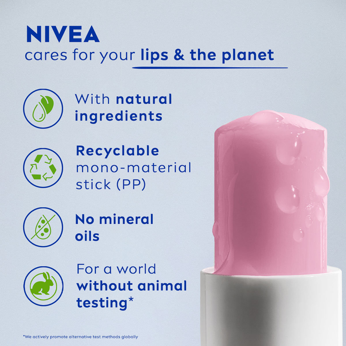 Nivea Soft Rose Lip Balm, 4.8 gm, Pack of 1 Nivea Soft Rose Lip Balm, 4.8 gm, Pack of 1