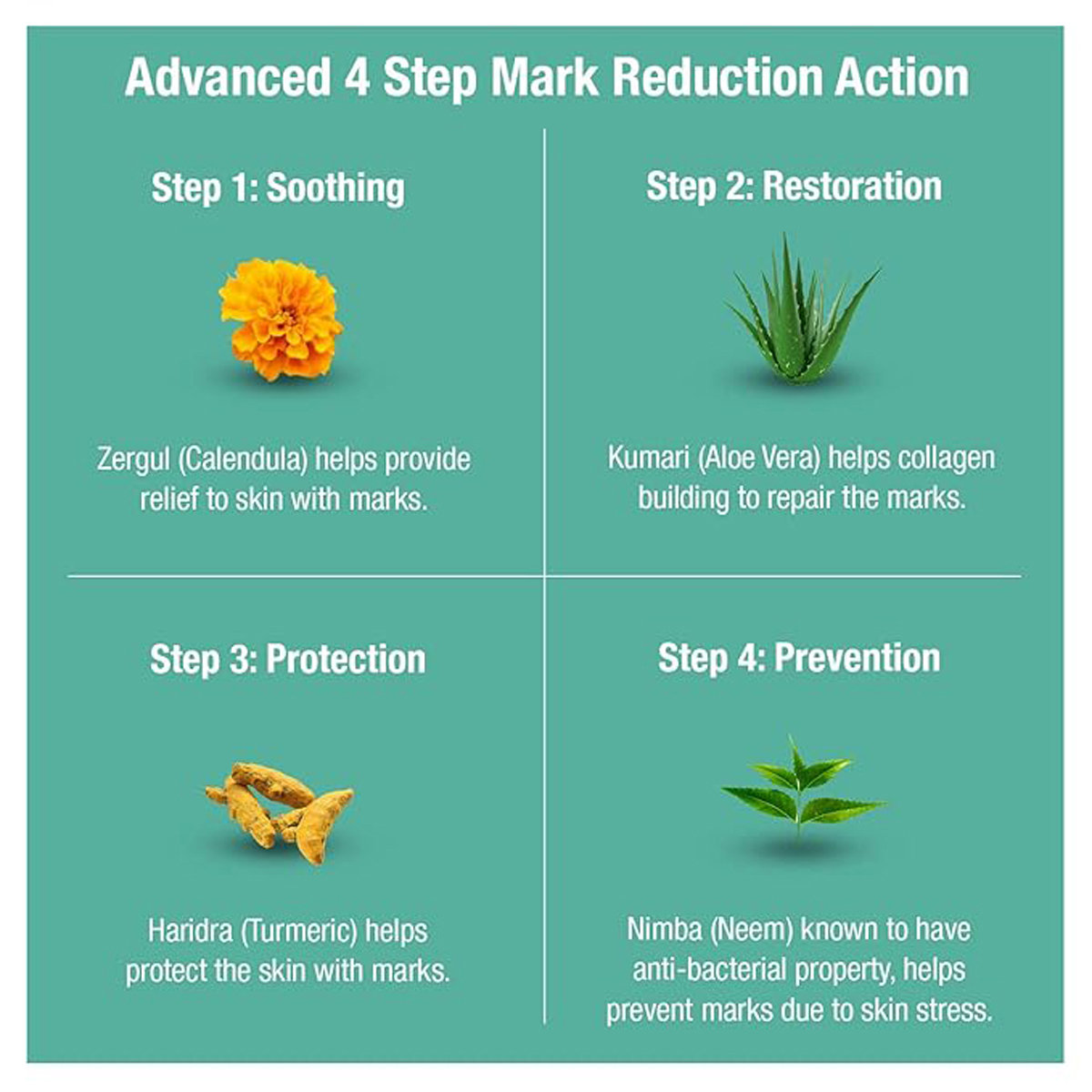 Nomarks Ayurvedic Antimarks Cream 25 gm | Vatada, Kumari, Amalai, Nimbuka | Removes Marks | For Dry Skin, Pack of 1 Nomarks Ayurvedic Antimarks Cream 25 gm | Vatada, Kumari, Amalai, Nimbuka | Removes Marks | For Dry Skin, Pack of 1