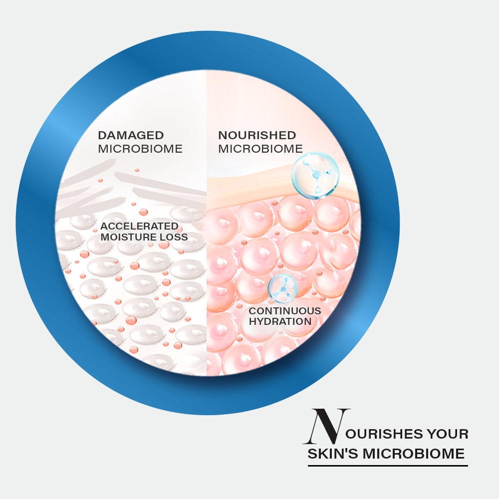Novology Moisture Barrier Booster Cream, 50 gm, Pack of 1 Novology Moisture Barrier Booster Cream, 50 gm, Pack of 1