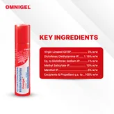 Omnigel Spray 20 gm, Pack of 1 Spray
