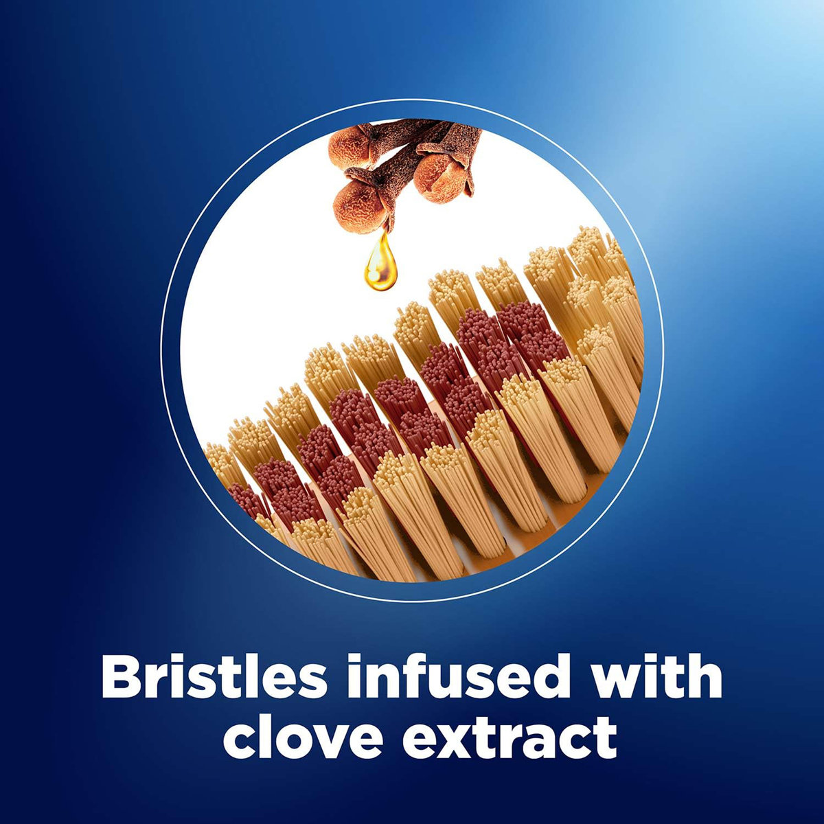 Oral-B Cavity Defense Clove Extract Toothbrush, 3 Count, Pack of 1 Oral-B Cavity Defense Clove Extract Toothbrush, 3 Count, Pack of 1