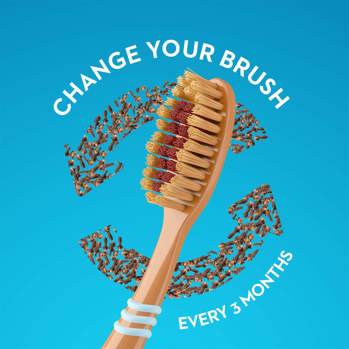 Oral-B Cavity Defense Clove Extract Toothbrush, 3 Count, Pack of 1 Oral-B Cavity Defense Clove Extract Toothbrush, 3 Count, Pack of 1