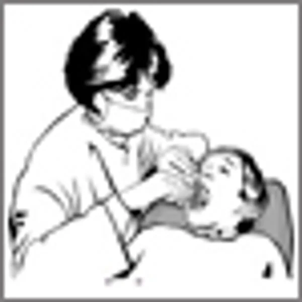 Vomispray 15Ml Oral Spray