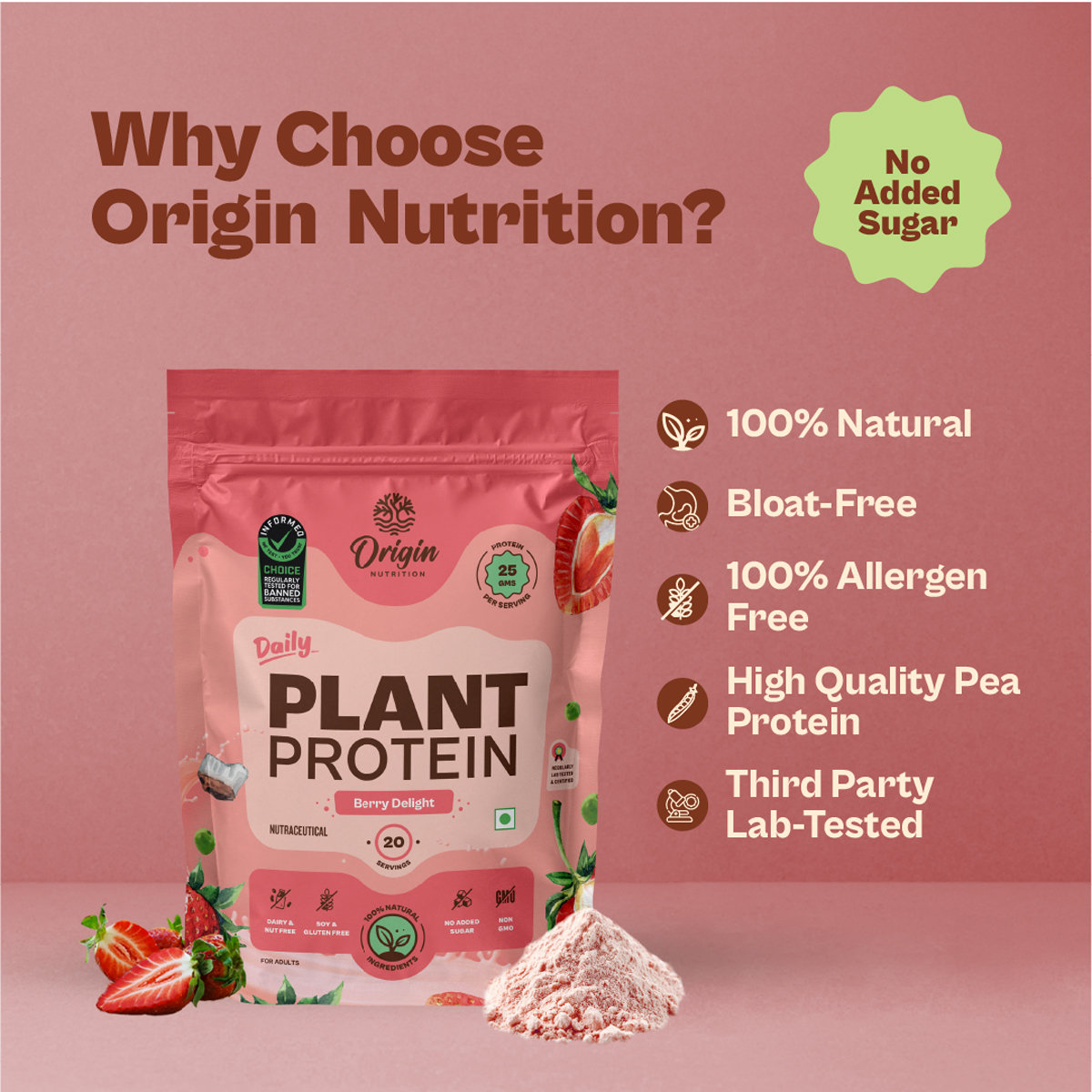 Origin Nutrition 100% Natural Daily Plant Protein Strawberry Delight Flavour Powder, 816 gm | 25gm Protein per Serving | No Added Sugar , Pack of 1 Origin Nutrition 100% Natural Daily Plant Protein Strawberry Delight Flavour Powder, 816 gm | 25gm Protein per Serving | No Added Sugar , Pack of 1
