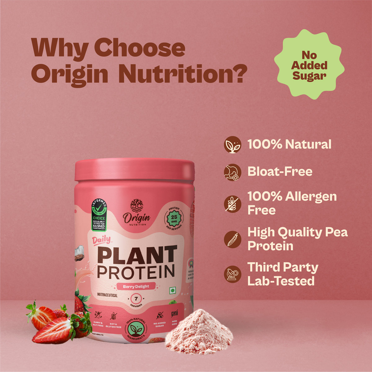 Origin Nutrition 100% Natural Daily Plant Protein Strawberry Delight Flavour Powder, 286 gm | 25gm Protein per Serving | No Added Sugar , Pack of 1 Origin Nutrition 100% Natural Daily Plant Protein Strawberry Delight Flavour Powder, 286 gm | 25gm Protein per Serving | No Added Sugar , Pack of 1