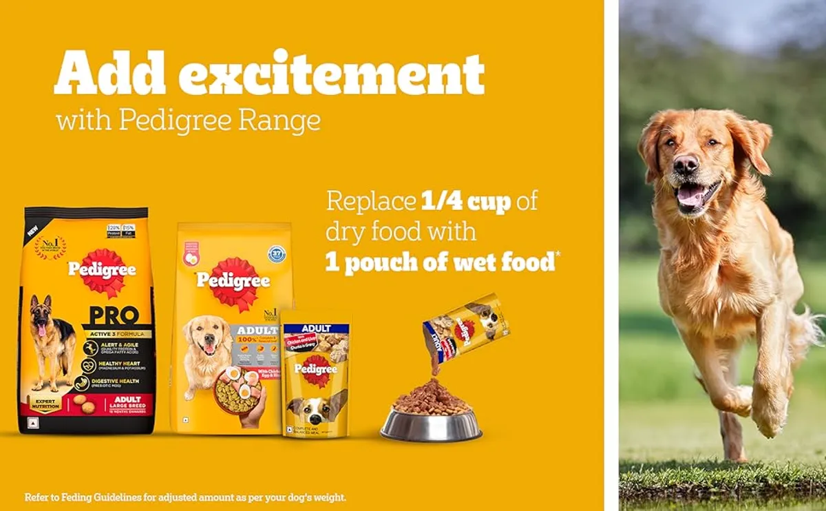 Buy Pedigree Chicken Vegetables Adult Dog Dry Food, 370 gm 19