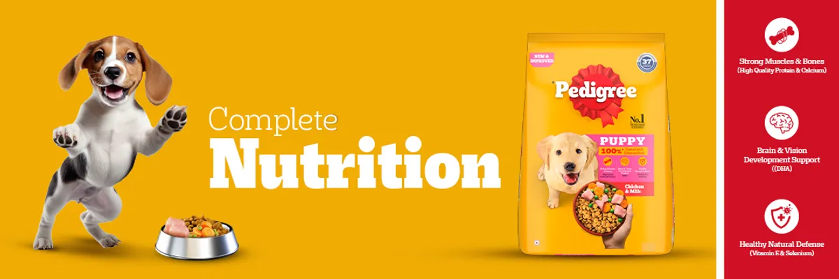 Buy Pedigree Chicken Milk Dry Food for Puppy Dog, 370 gm 19