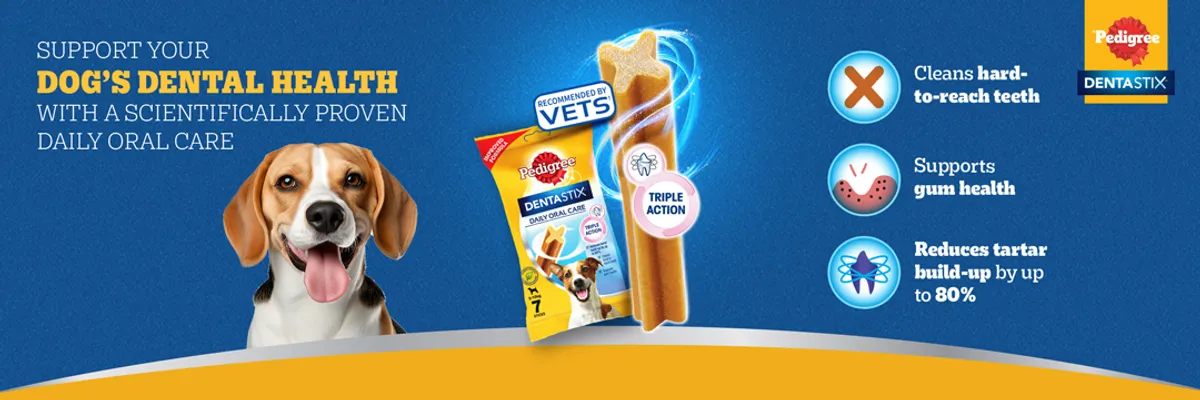 Commercial Dentasticks Pedigree Doggie Dentures Dentastix Dog